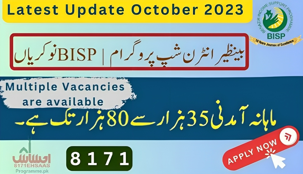 Benazir Internship Program Latest Update October 2023 