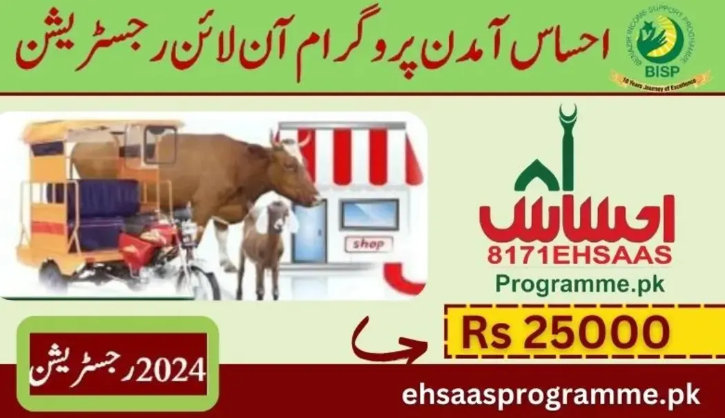 8171 ehsaas program amdan online check